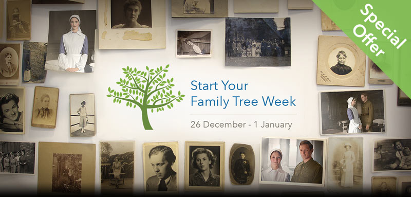 family tree week image