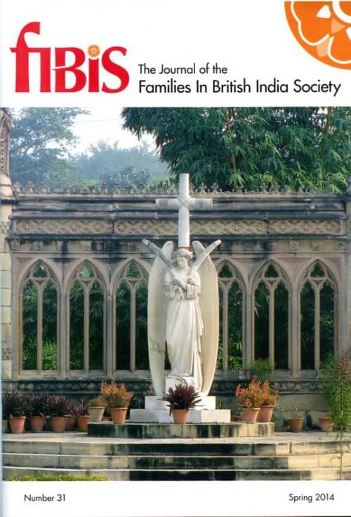 FIBIS Journal 31 cover image