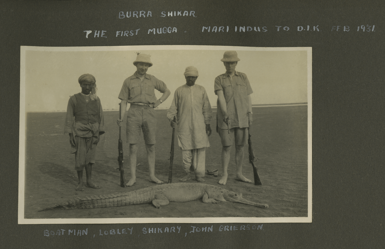 gharial image