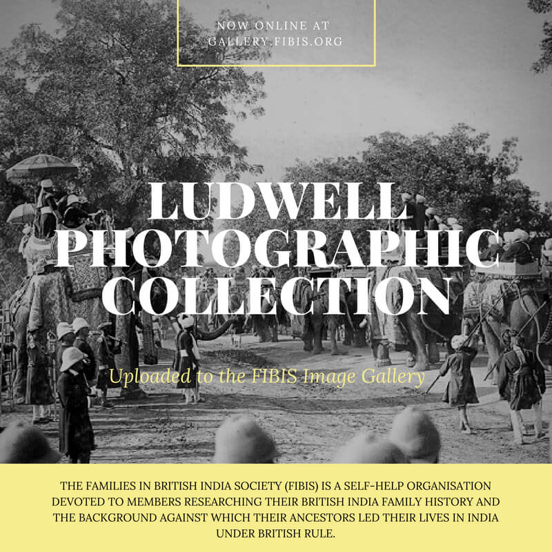 Ludwell Collection image