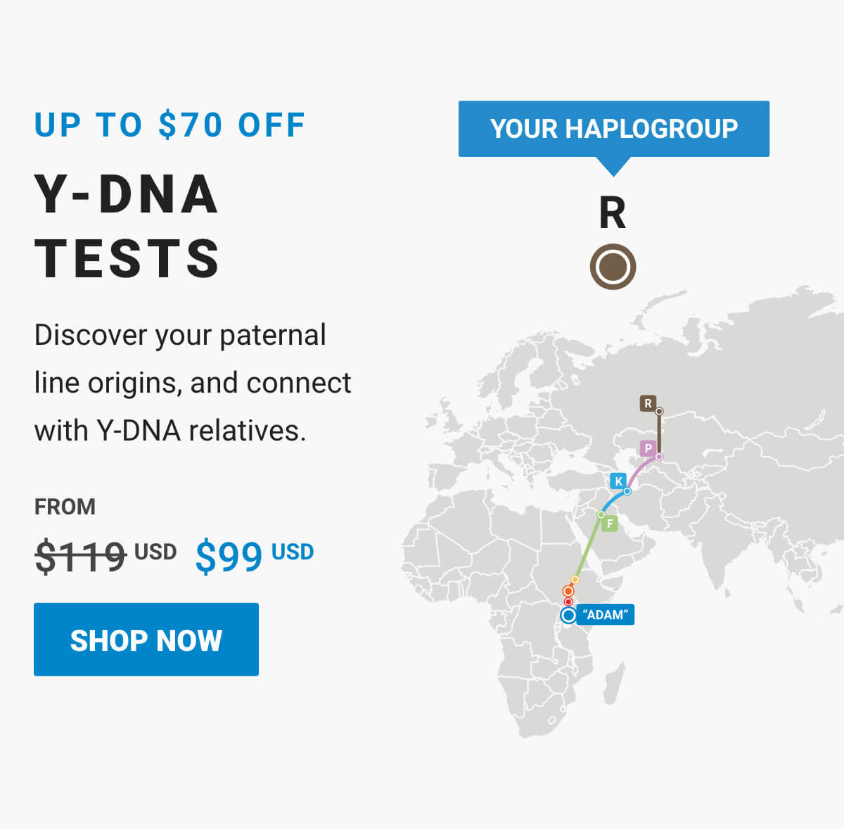 Y-DNA Test